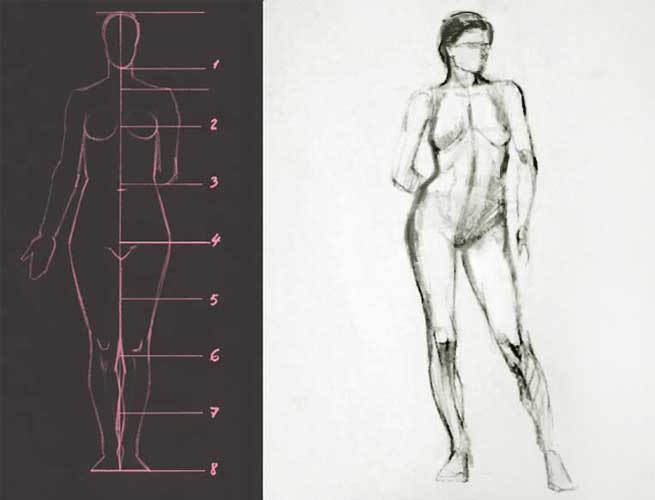 Proportions des figures féminines de dessin