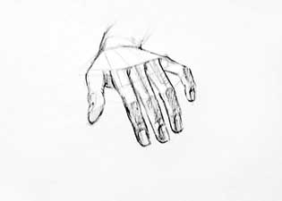 Hand sketch