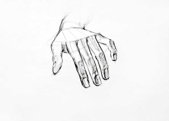 Human hand sketch