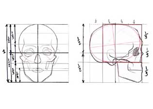 Dibujos, bosquejos, cabeza