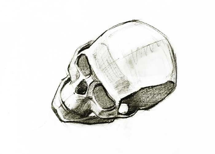 Skull drawing top