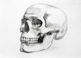  on Drawing Skulls   How To Draw Skull